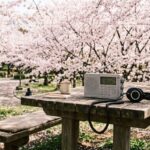 Thumbnail of post image 174