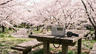 Thumbnail of post image 168